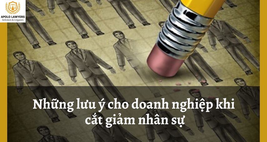 dich-vu-luat-su-apolo-lawyers