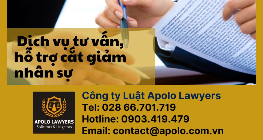 dich-vu-luat-su-apolo-lawyers