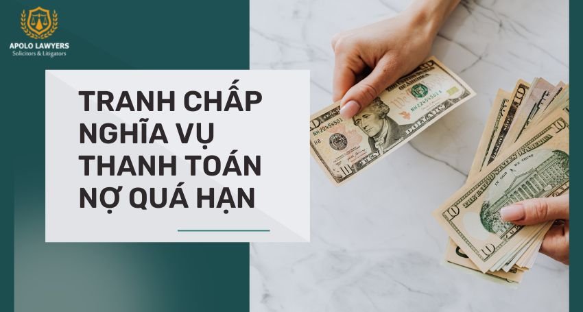 dich-vu-luat-su-apolo-lawyers